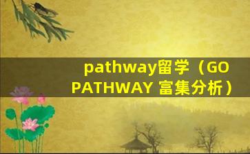 pathway留学（GO PATHWAY 富集分析）